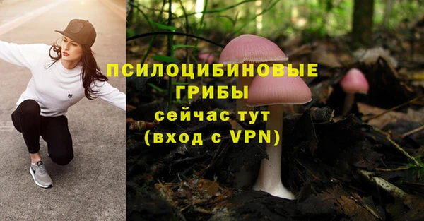 Альфа ПВП Горняк