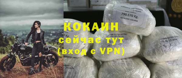 винт Гусь-Хрустальный