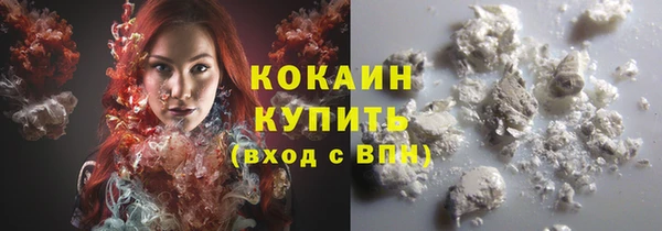 Альфа ПВП Горняк