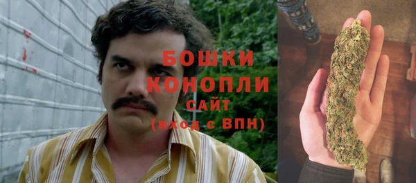 Альфа ПВП Горняк